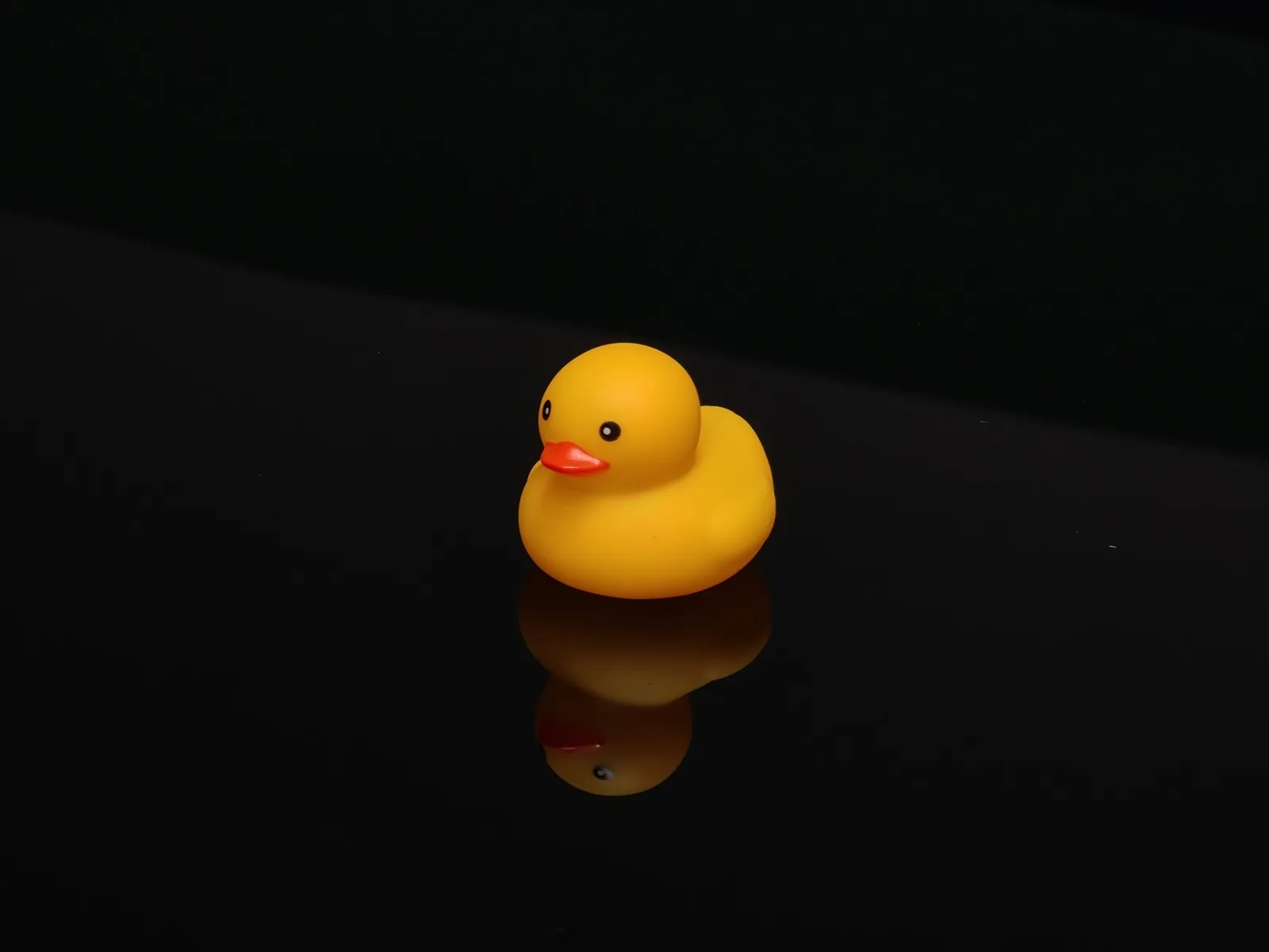 Patito de goma amarillo sobre fondo negro, símbolo de la mala fama de WordPress entre desarrolladores web.